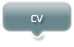 cv
